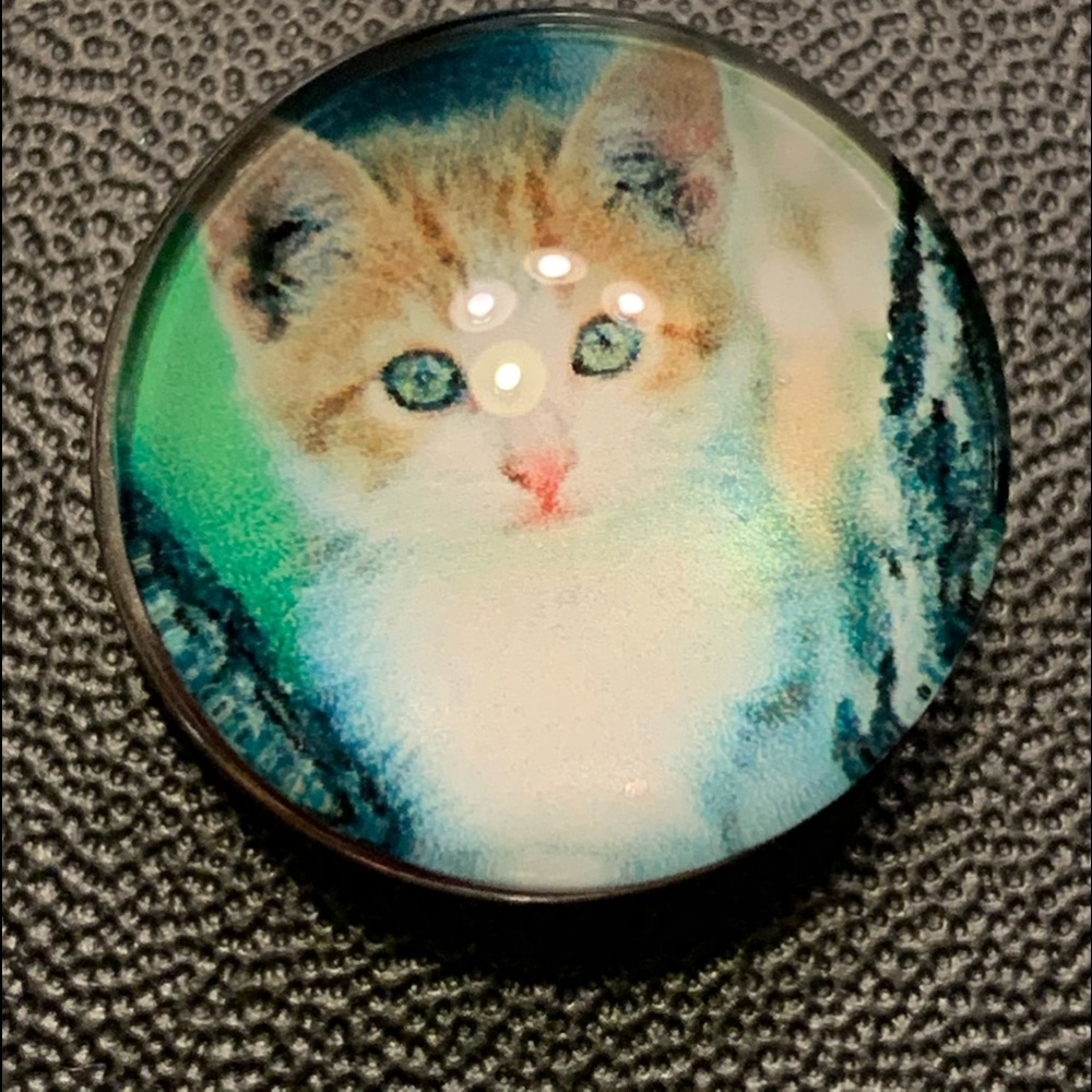 3 Cat snaps for $10 jewelry in closet
